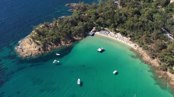 澄んだ青い水の層の砂のビーチCavaliere Lavandouフランスのリビエラ空撮晴れた日の観光地 — ストック動画