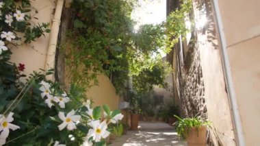 Çiçekli Gassin caddelerinin penceresinde çiçekler ve güneş parlıyor Fransa Provence-Alpes-Cte dAzur 