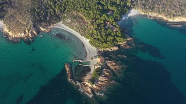 ポワント ボーム ミモザの空中ビューフランスビーチ澄んだ水地中海の海 — ストック動画