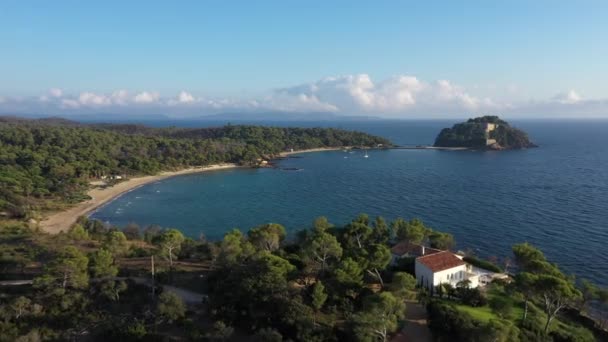 Panoramik Bormes Les Mimosas Kıyı Şeridi Üzüm Bağları Akdeniz Fransa — Stok video