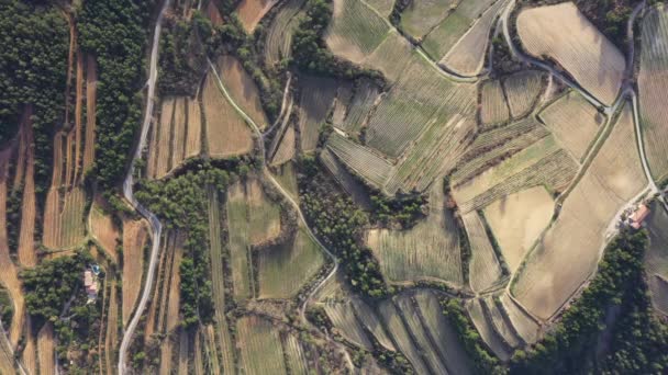 Vineyards Abstract Aerial Shot Vaucluse France Vaison Romaine — Stock Video