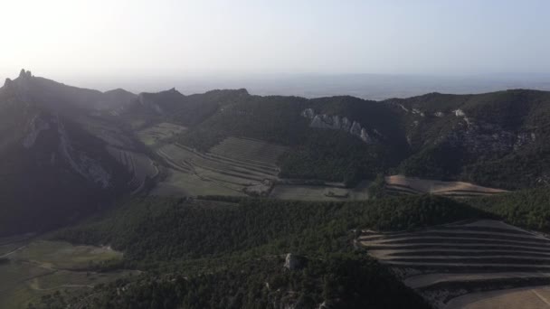 Panorama Luftaufnahme Der Berge Dentelles Montmirail Vaucluse Provence — Stockvideo