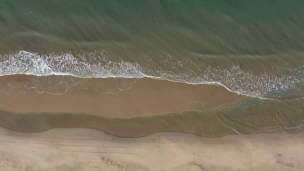 Ufer Espiguette Wellen Frankreich Mittelmeer — Stockvideo