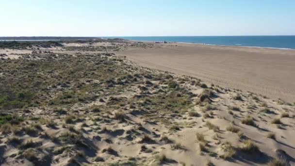Písečné Duny Vegetací Pláži Espiguette Francie — Stock video