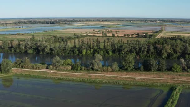 Zemědělská oblast rýžová pole a plodiny letecké drone shot Francie Camargue — Stock video