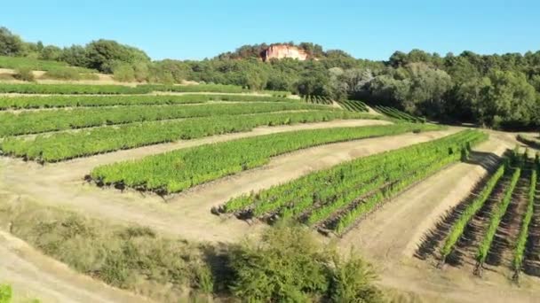 Dia ensolarado aéreo sobre campos de vinhas e pedreiras ocre aldeia de Roussillon — Vídeo de Stock