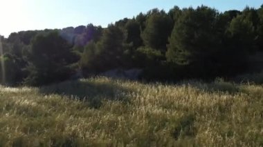 Hava aracı bir buğday tarlasının üzerinden geçti ve günbatımının arkasındaki kiliseyi keşfetti.