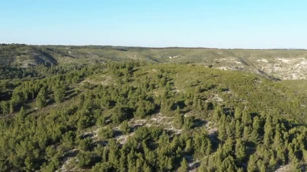 Vue Aérienne Une Forêt Sur Une Colline Sud France Paysage — Video