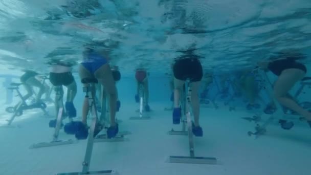 Dietro la vista delle donne aqua bike in piscina — Video Stock