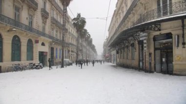 Montpellier Rue de la Republic 'te palmiye ağaçları karla kaplıydı.