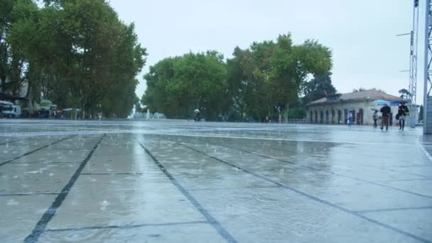 Journée pluvieuse sur chaussée Montpellier place de la comedie arbres en arrière-plan France — Video