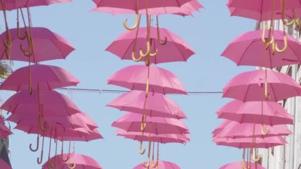 Pohled na růžové deštníky zavěšené v ulicích Montpellier během růžového října — Stock video