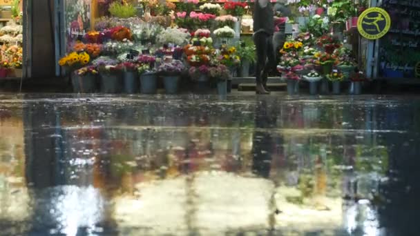 Dia chuvoso na frente de um florista reflexo de água no chão Montpellier França — Vídeo de Stock
