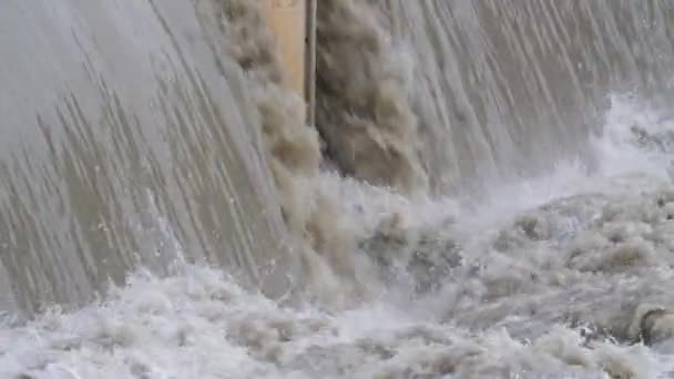 Heavy flow rate muddy water le Lez river Montpellier Γαλλία — Αρχείο Βίντεο