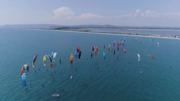 Grande grupo de kitesurfers corrida, vista por drone. Dia ensolarado litoral — Vídeo de Stock