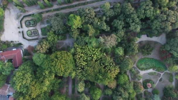 モンペリエの植物園の夕日の自然を上空から撮影フランス — ストック動画