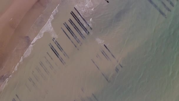 Vue Verticale Par Drone Des Fermes Ostréicoles France Normandie Plages — Video