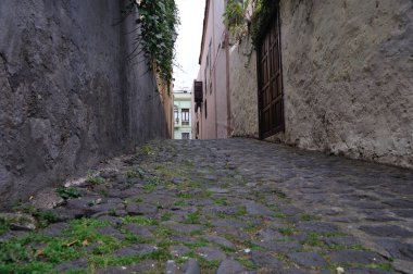 La Orotava 'da parke taşı caddesi otlarla dolu ve eski evlerle çevrili.