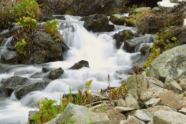    Khakassia Dağı deresi