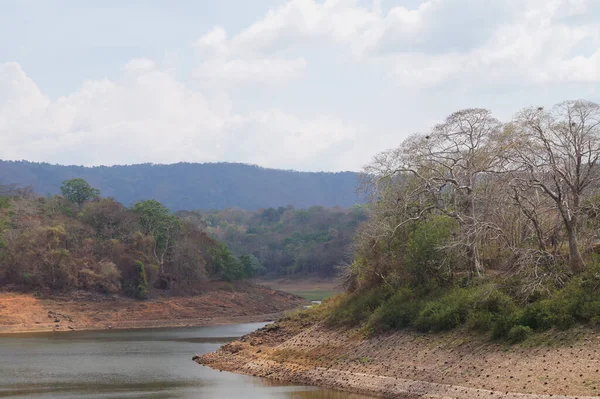 Rivière Sèche Dans Une Forêt Inde — Photo