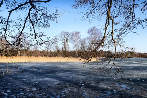 Landscape with lake covered with ice and trees around with Sunny spring or autumn day