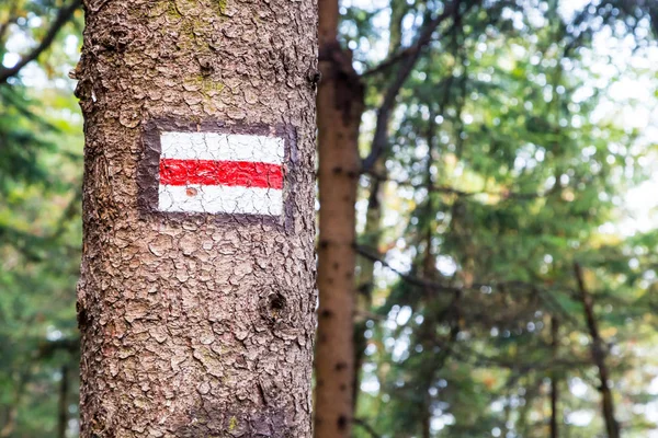 Marking the tourist route painted on the tree. Travel route sign.