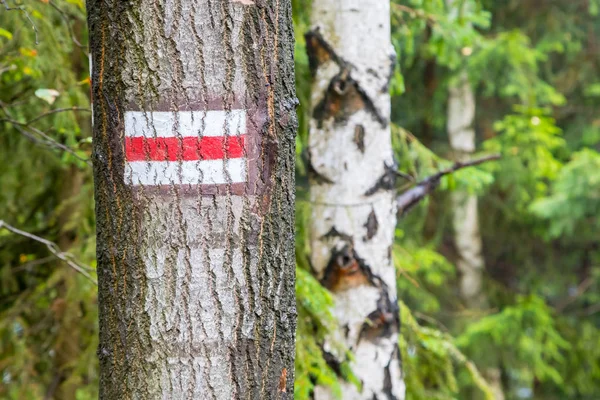 Marking the tourist route painted on the tree. Travel route sign.