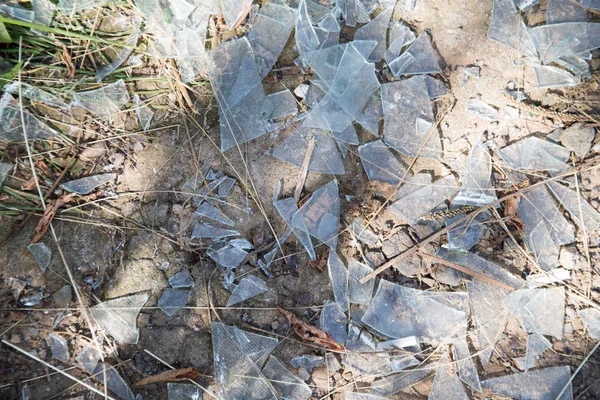 Broken glass shards on the ground mixed with dry grass