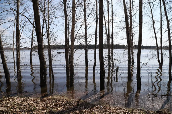 Lake, trees in water during flood and boat in a day of early spring