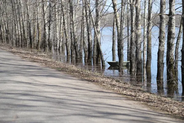 Lake, trees in water during flood and boat in a day of early spring