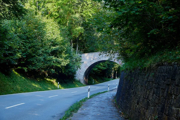 Asphalt road with stone arch and trees around