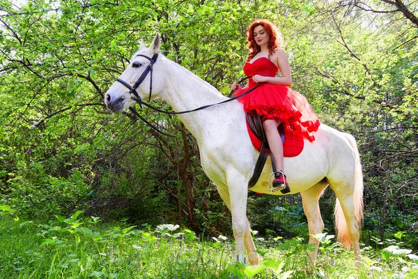 Girl in beautiful red dress on white horse in Park or forest. Photo shoot models and fashion