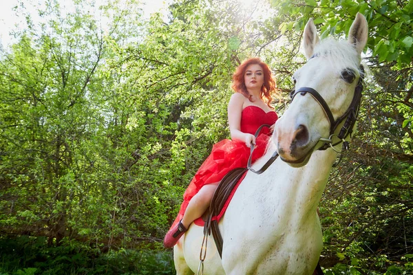 Girl in beautiful red dress on white horse in Park or forest. Photo shoot models and fashion