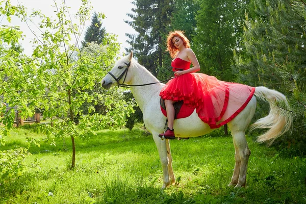 Girl in beautiful red dress on white horse in Park or forest. Photo shoot models and fashion