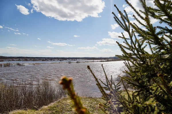 High water on a river or on a lake in sunny spring day. Russian nature landscape with water, trees and blue sky with white clouds