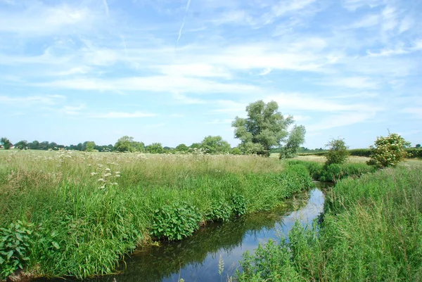 Der Nähe Der Quelle Der River Cam Essex Großbritannien — Stockfoto