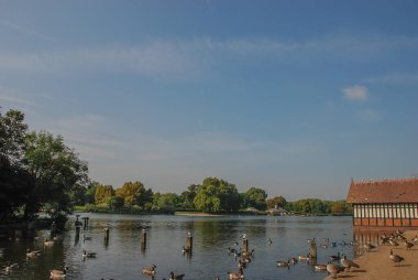 Hyde Park, Londra 'daki pitoresk yılan.