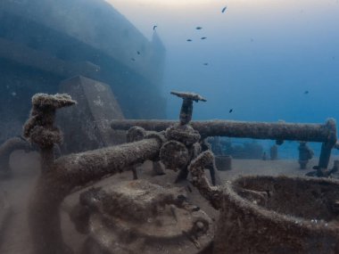 Malta açıklarındaki Um El Faroud enkazı.