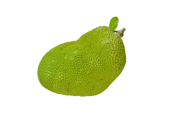 Jack Ovoce Tropického Ovoce Bílém Pozadí — Stock fotografie