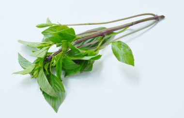  taze fesleğen yaprağı tropikal bitki ve gıda madde beyaz arka plan üzerinde