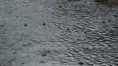 sert yağmur damla ve çimento parkta zemin üzerinde sel yapmak