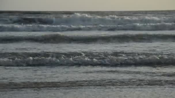 Paisagem Mar Água Surfar Para Praia Pôr Sol — Vídeo de Stock