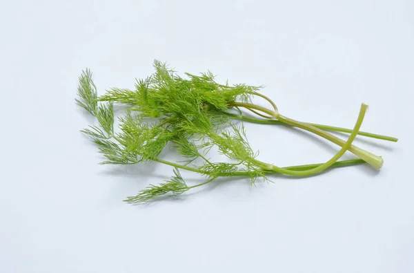 Świeży koperek lub natka pietruszki tropikalny zioło na białym tle — Zdjęcie stockowe