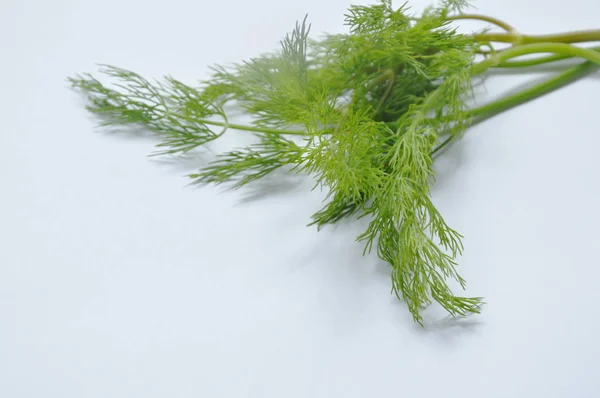 Świeży koperek lub natka pietruszki tropikalny zioło na białym tle — Zdjęcie stockowe