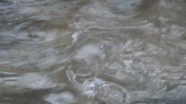 Zbliżenie Wody Płynącej Rzeki Lesie — Wideo stockowe