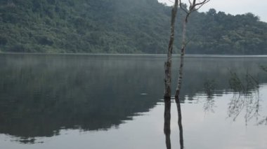 ağaç ve dağ arka plan ile gölde su yüzeyinde yansıma manzara