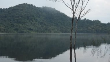 ağaç ve dağ arka plan ile gölde su yüzeyinde yansıma manzara