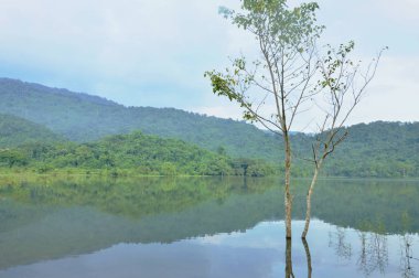  ağaç ve dağ arka plan ile gölde su yüzeyinde yansıma manzara