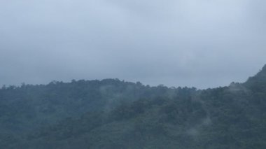 manzara dağ tepe üzerinde yüzen sis