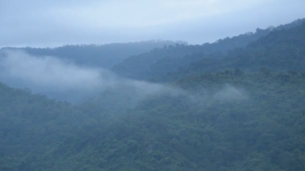 Nebellandschaft Schwebt Auf Berggipfel — Stockvideo